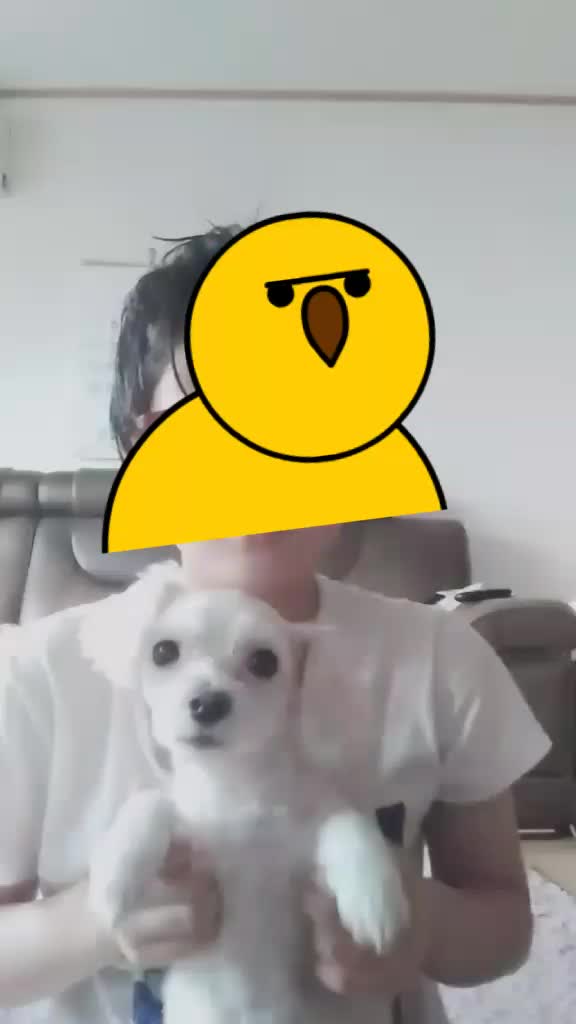 @나른한 계란💛