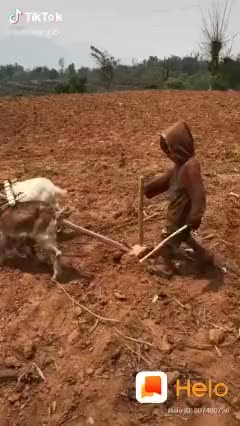 @Raj Kumar Nisahd