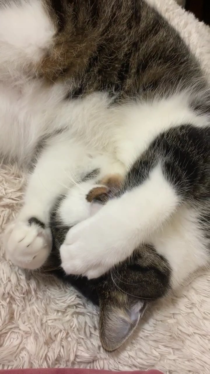 @°ส๐ฉตษ°