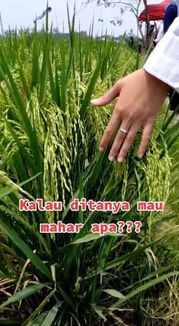 @Hesty Okta S