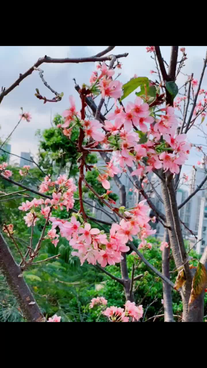 @user98124667201