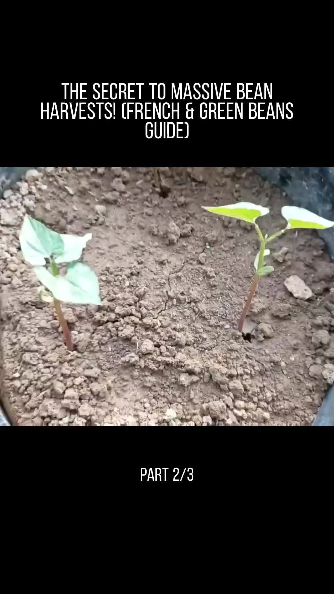 @user32331650853717