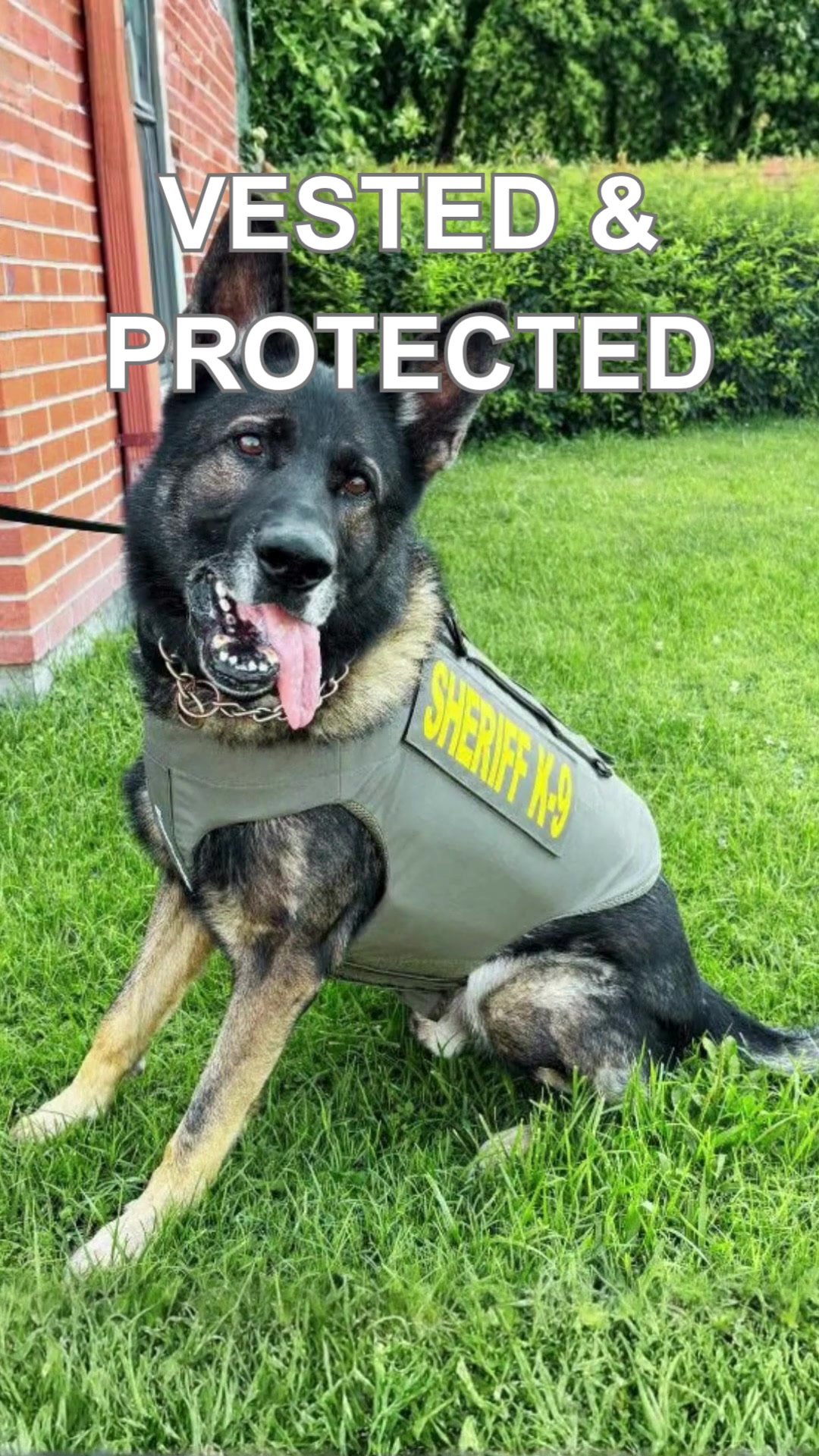 @Vested Interest in K9s, Inc.
