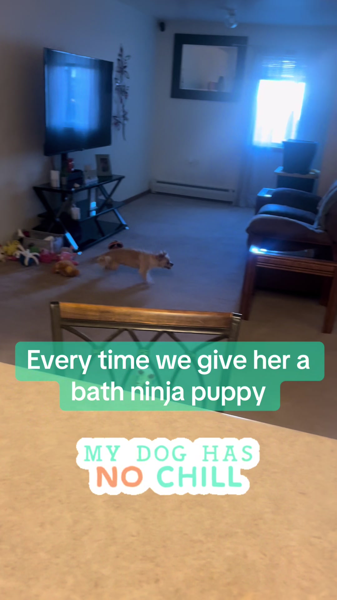 @Becky