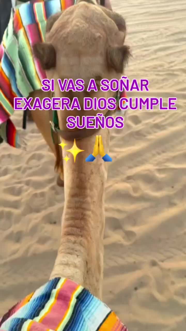 @El compa enrique75