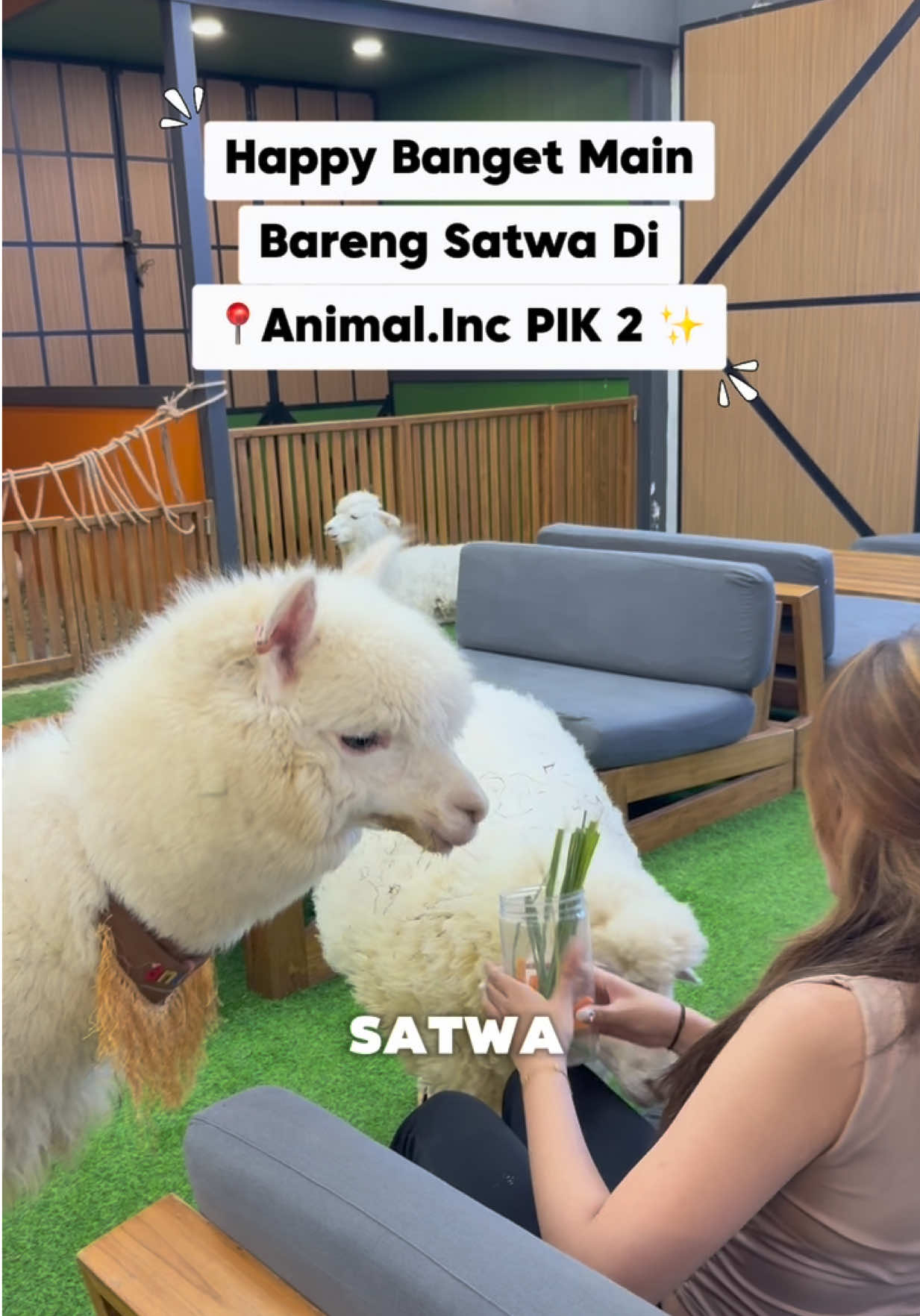 @Diary Jakarta ✨🎊💕✅
