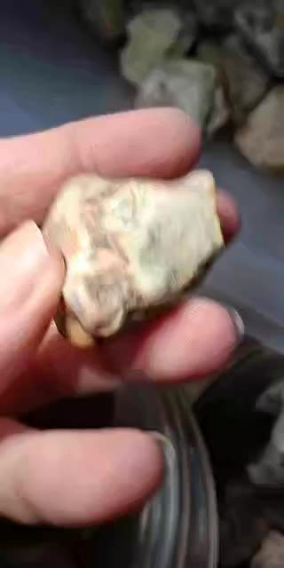 @RockGirlRocking