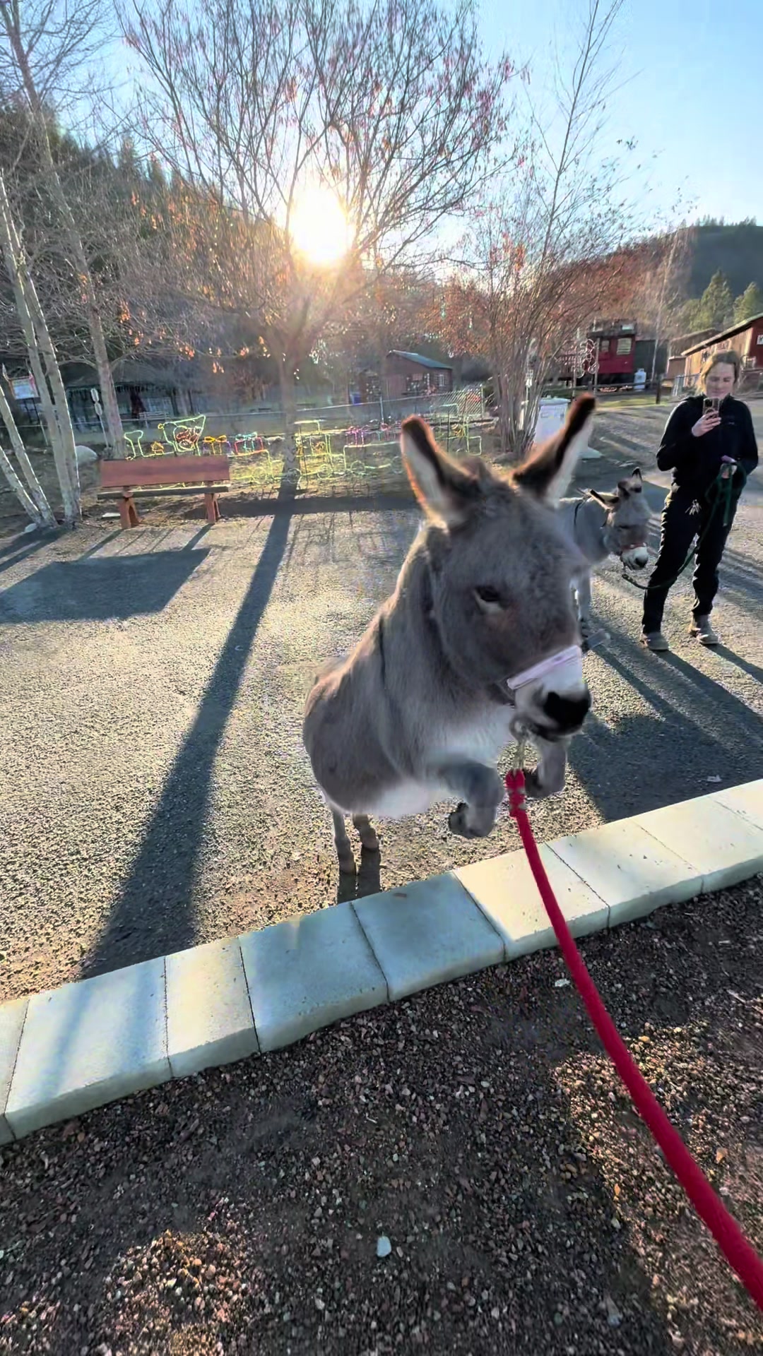 @BC Wildlife Park