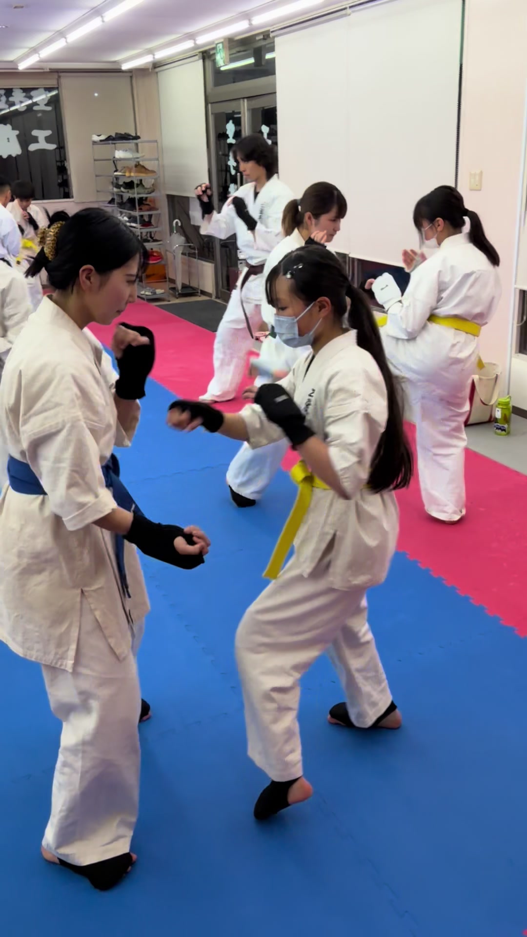 @kudodojo