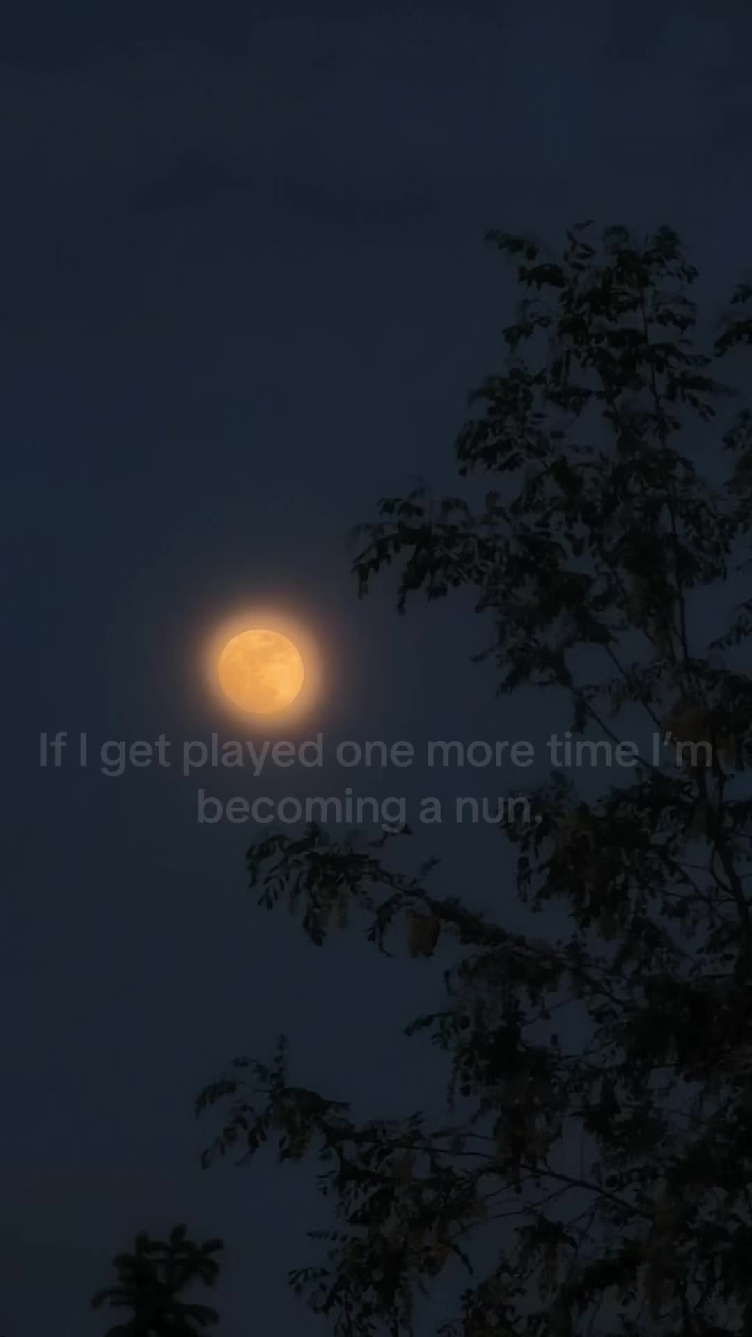 @𓍼