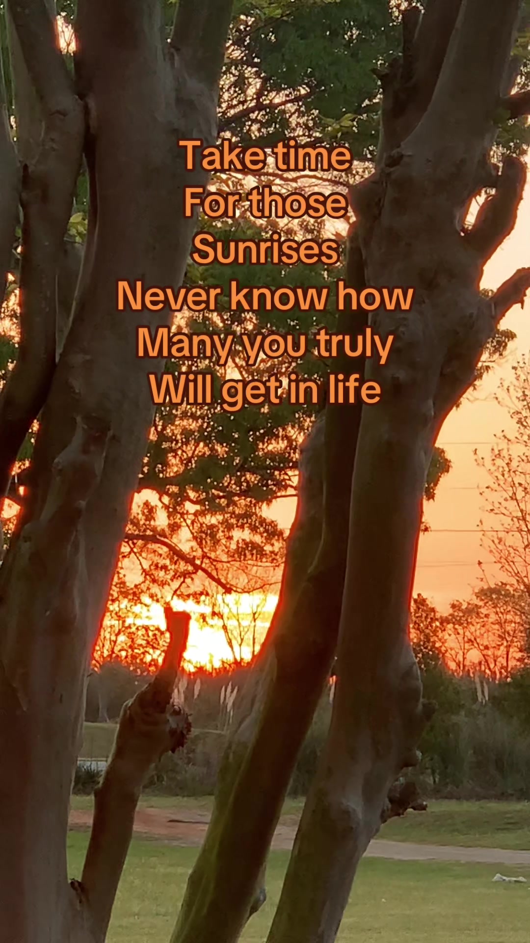 @Dragonflydreams