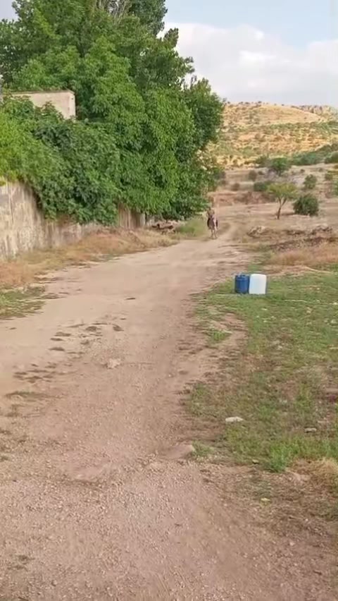 @Murat çokan