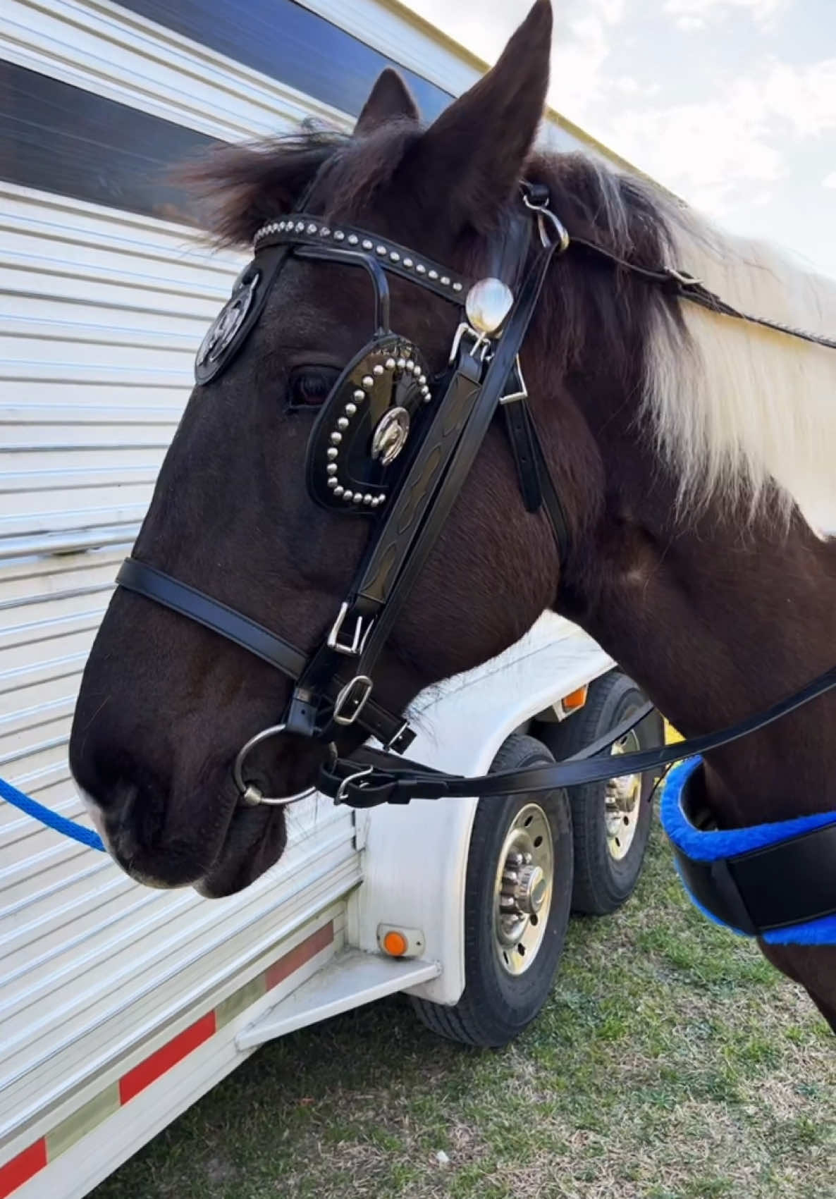 @southerncharmcarriages
