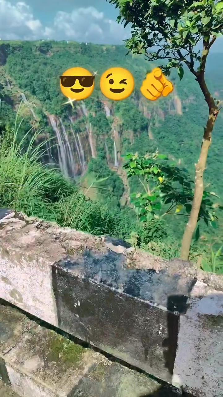 @nawab king🤴 👑