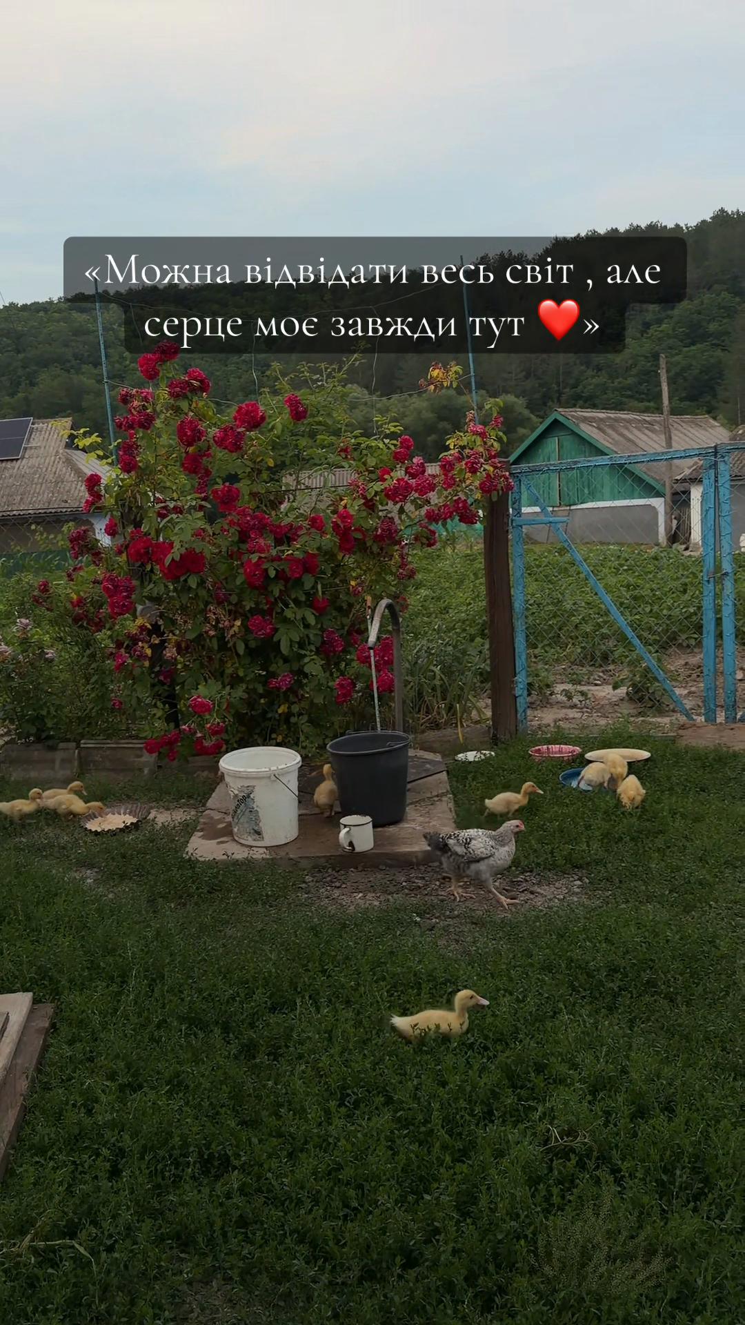@Крістіна