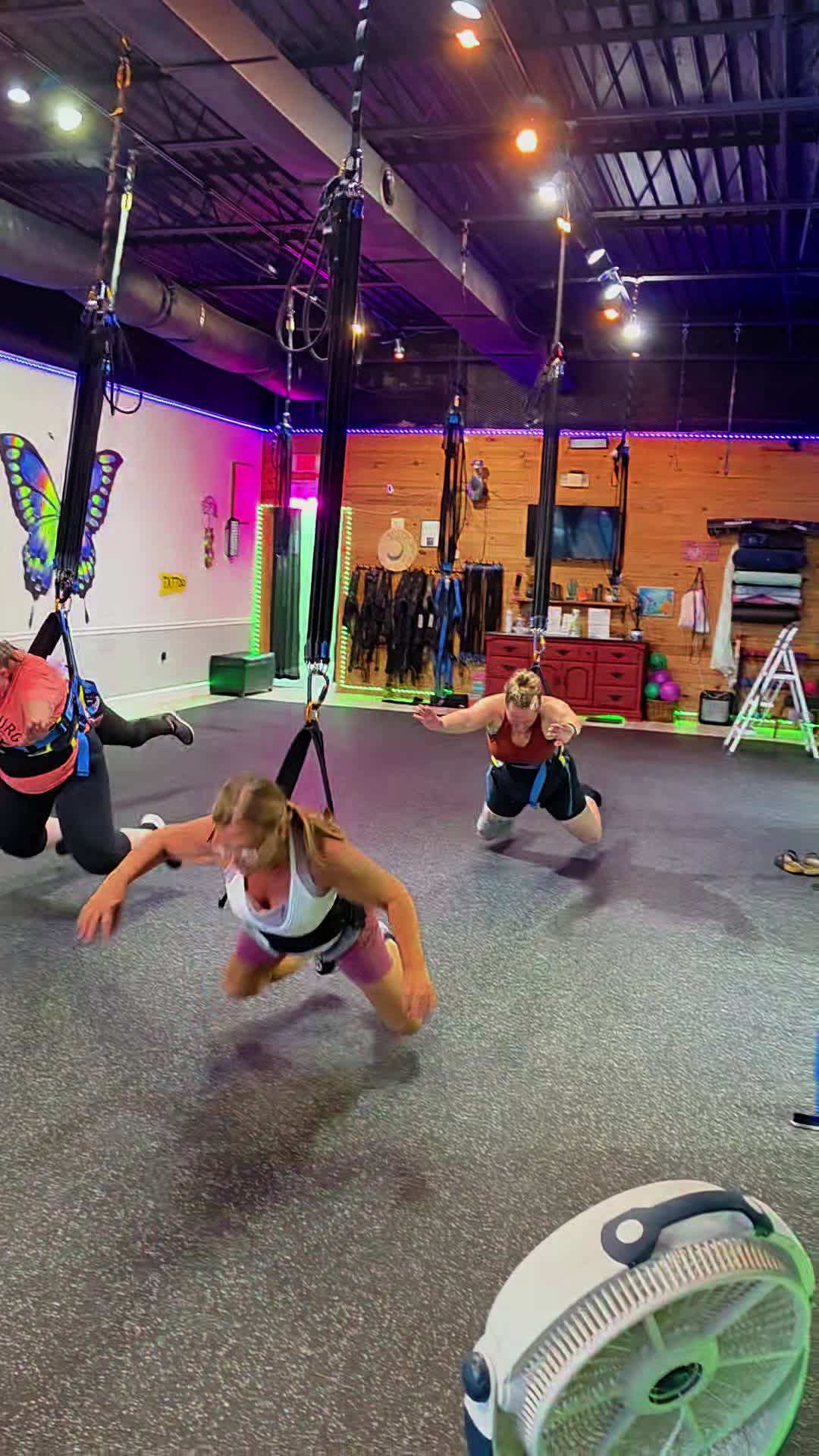@Dragonfly Bungee