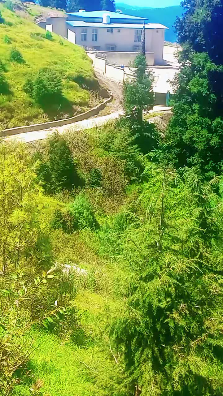 @riazmagray