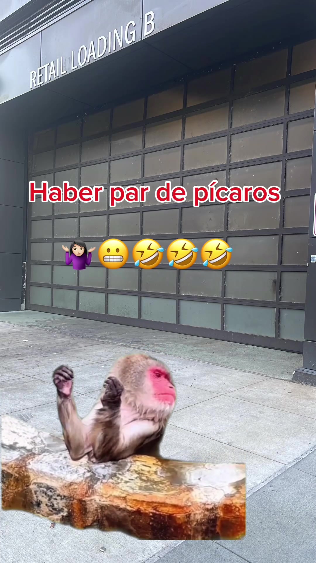 @꓄꒐꓄ꋬ ꃳꄲꆰ꒤꒐ꋊ