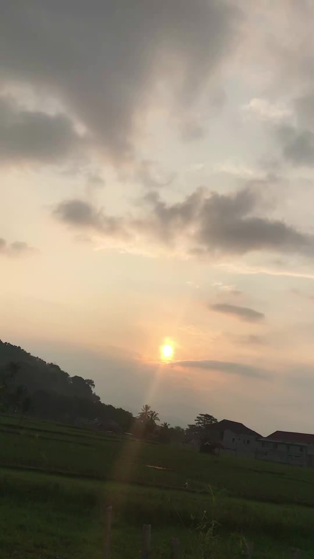 @Varsanz.Larensaa🇻🇳