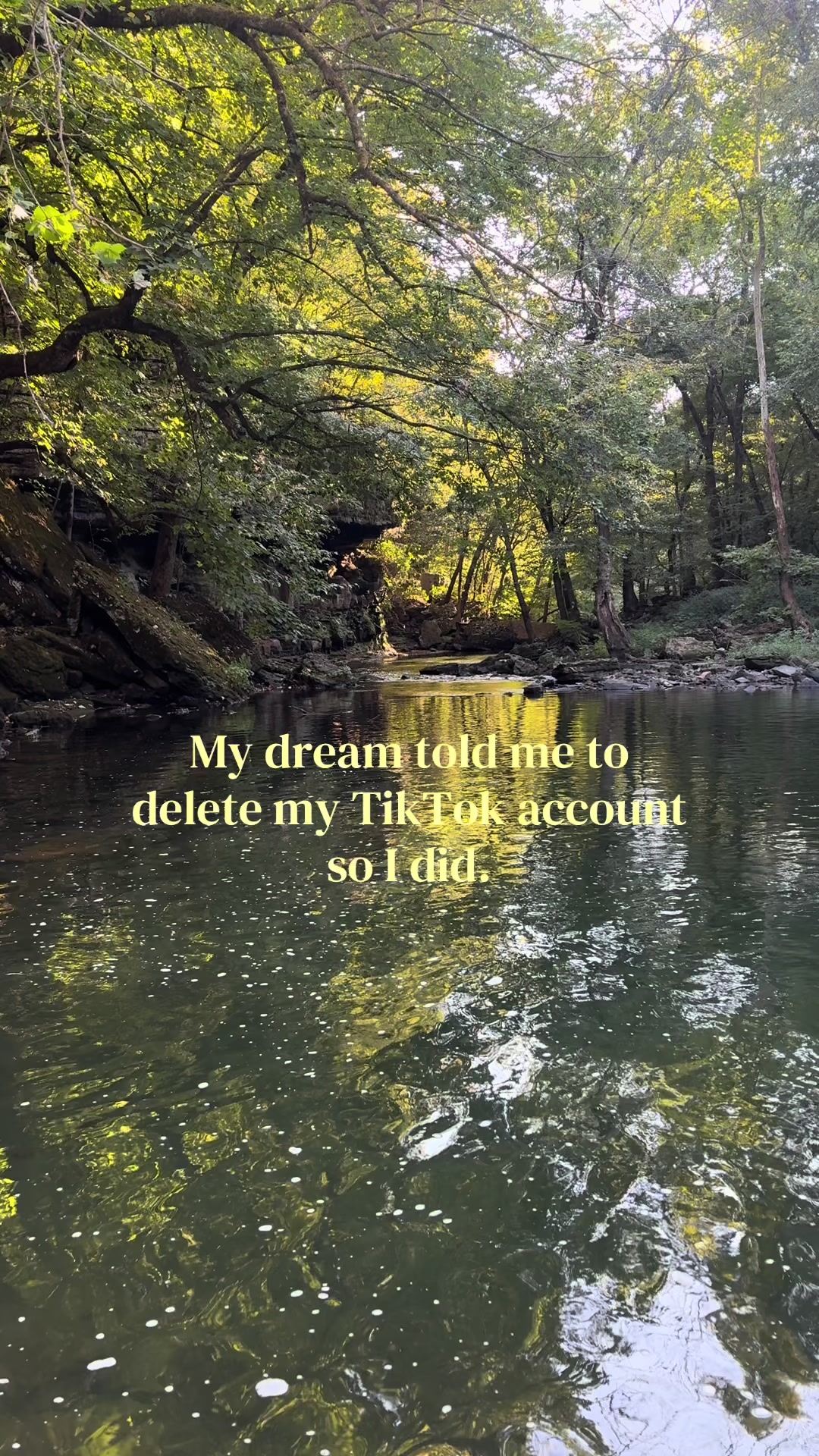 @𝓚𝓸𝓾𝓷𝓽𝓻𝔂 𝓚𝓲𝓽𝓽𝓮𝓷𝓼
