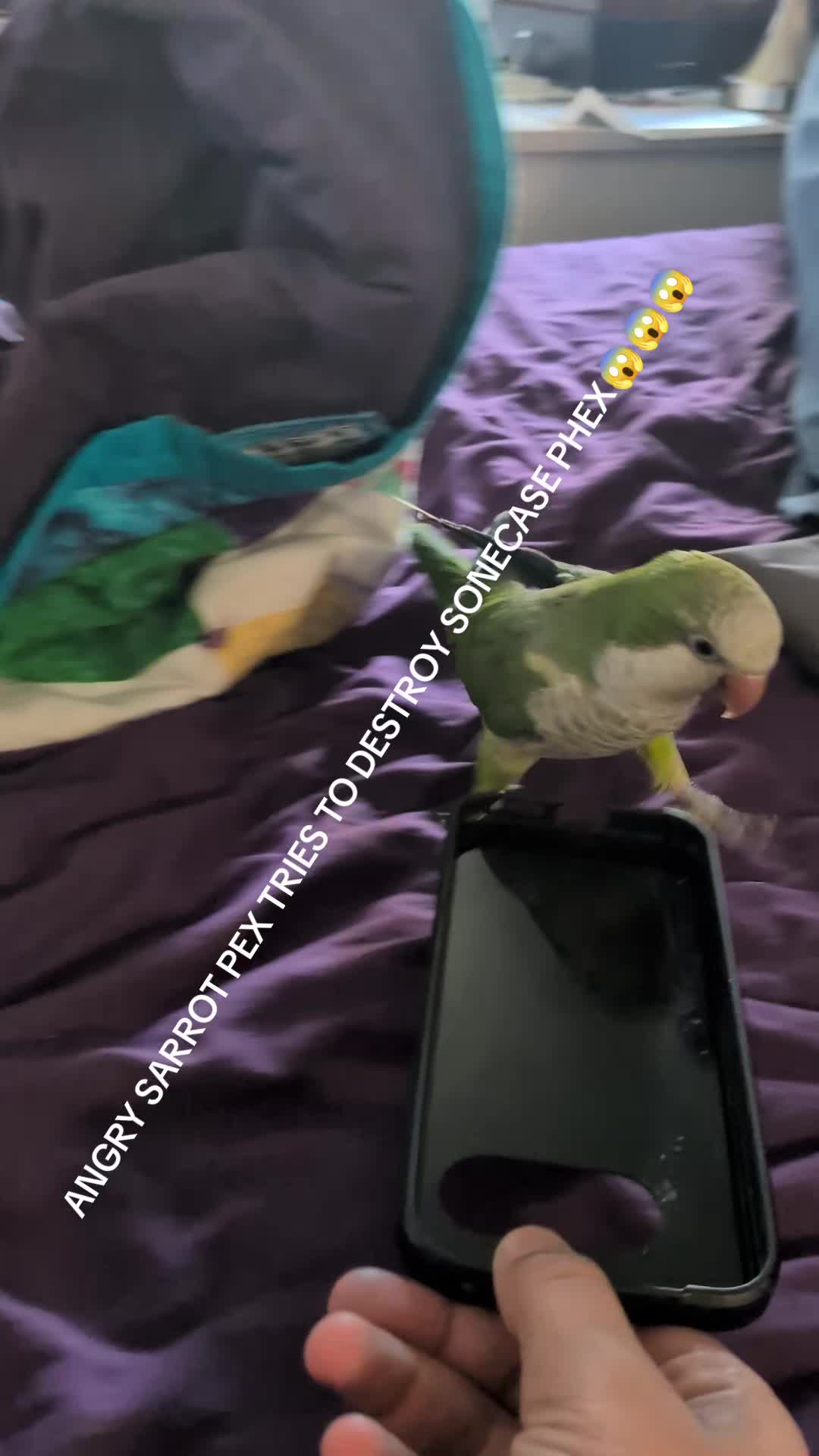 @M4croGD