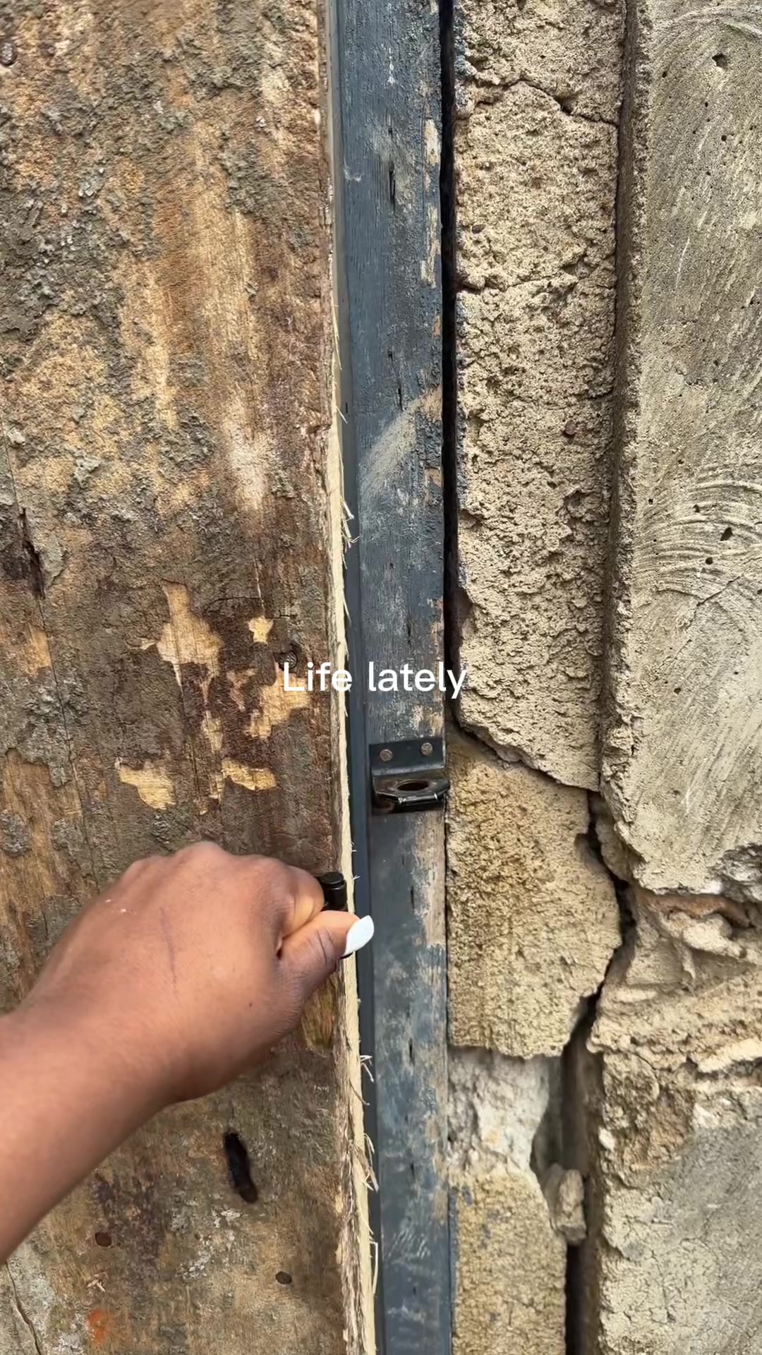 @Abcel🤍