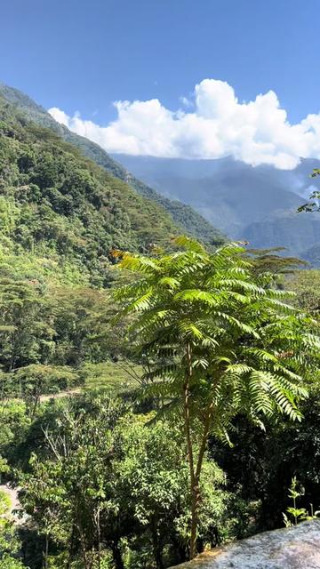 @🦋Silvanitha🌻🇵🇪