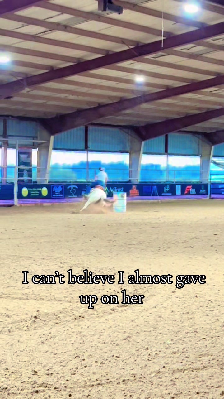 @haley&horses