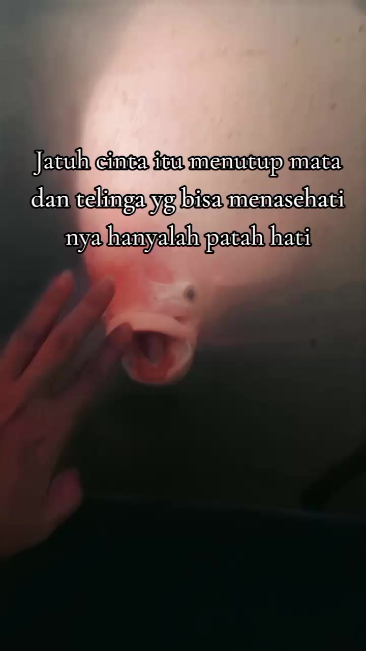 @Aku_Aries