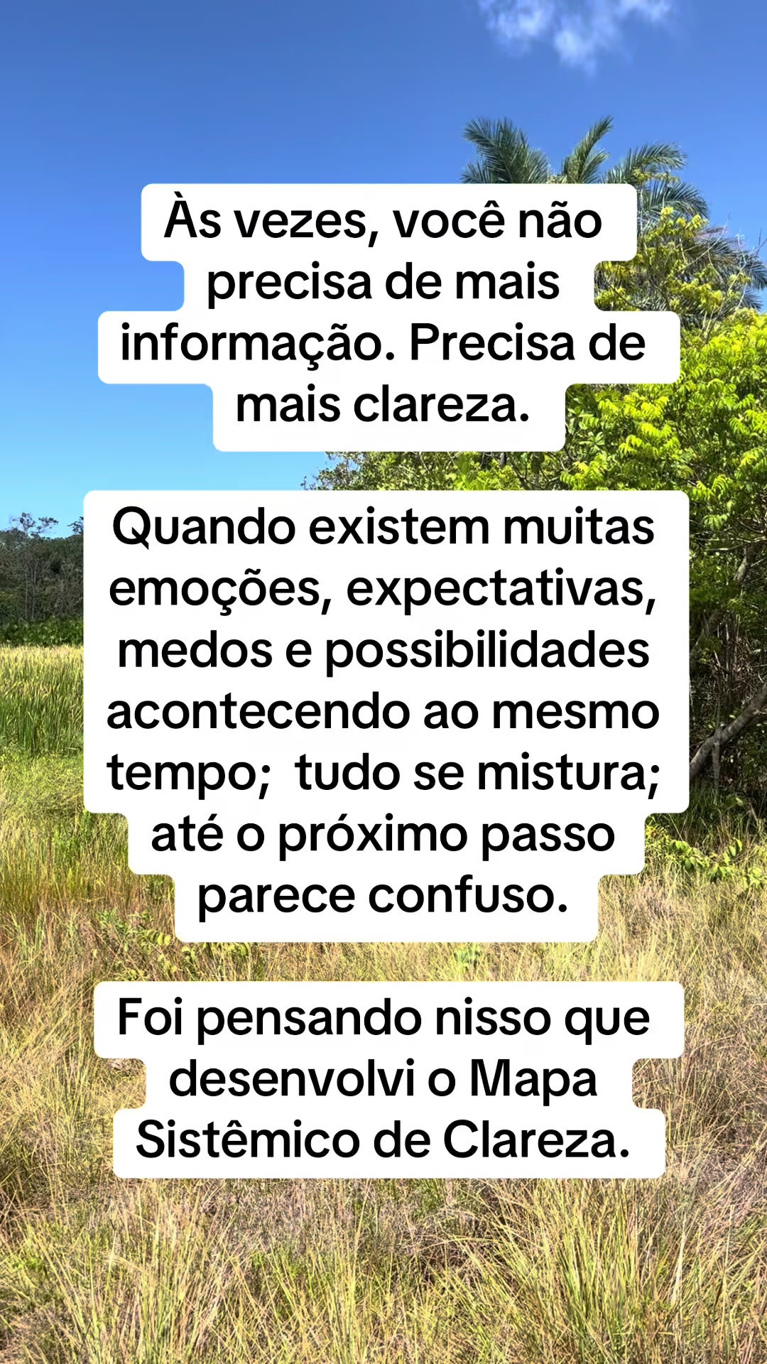 @Vanessa E. Santos | Terapeuta