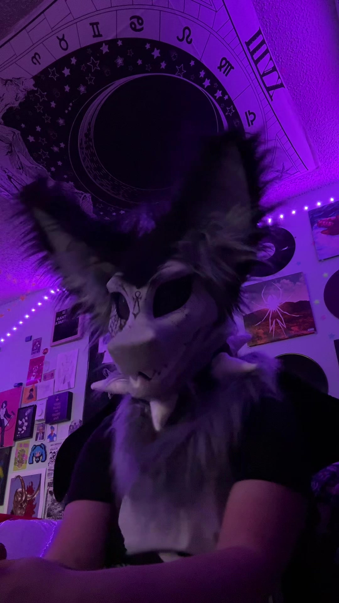 @Arin🦿Average Terzo Enjoyer
