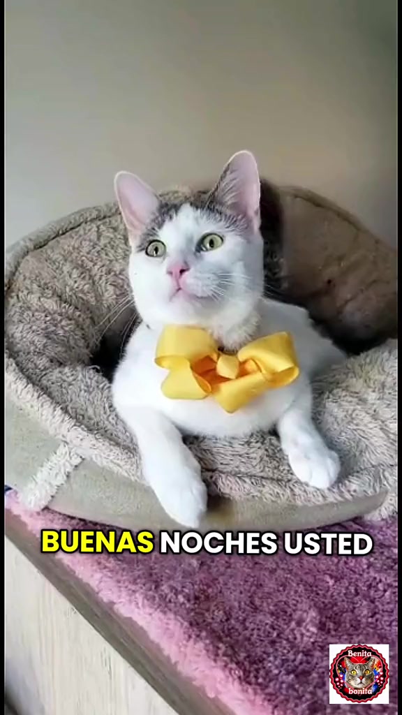@Benita bonita