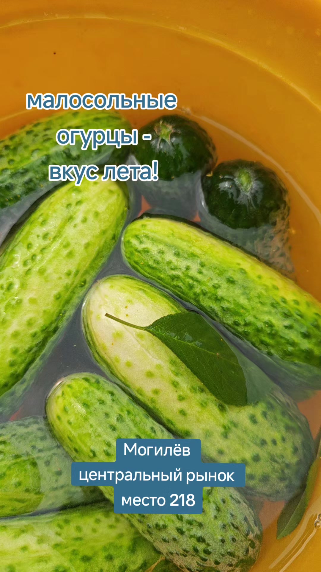 @Картофель Могилёв