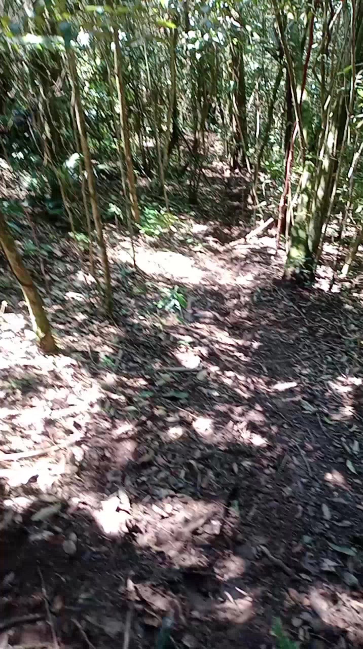 @Daniel De Oliveira D