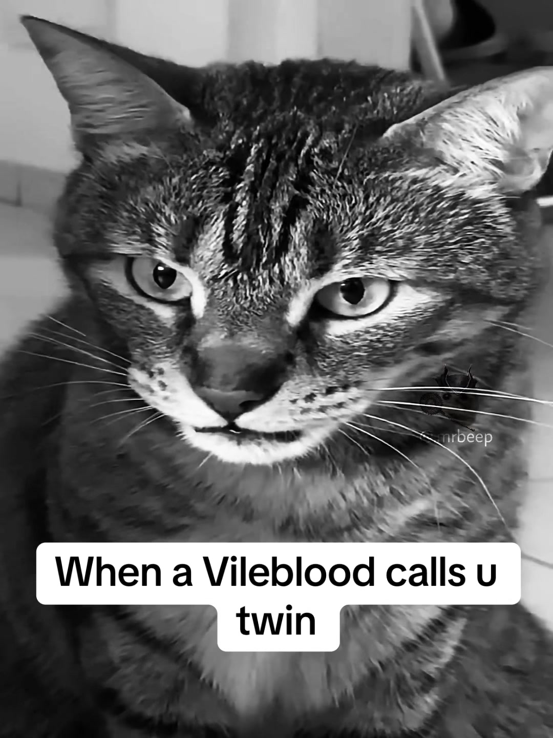 @MrBeep