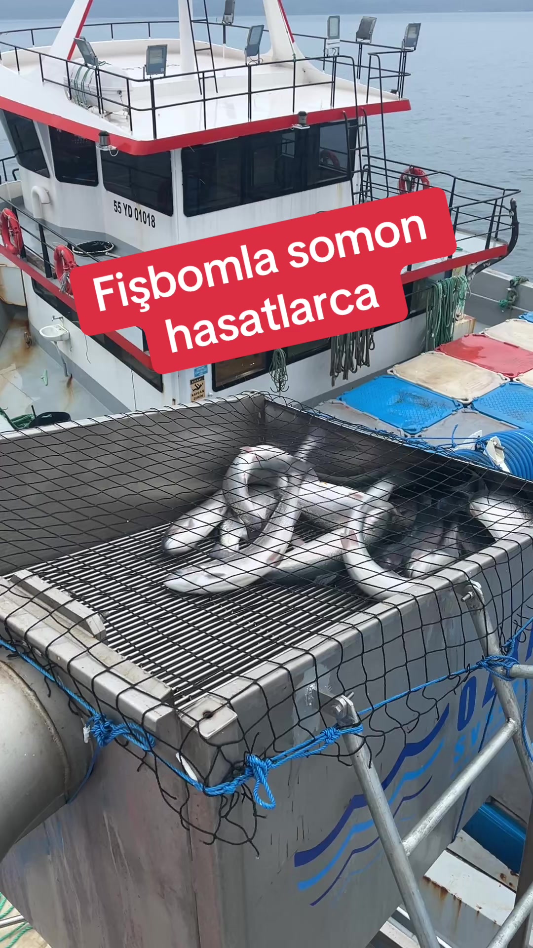 @Samsunlu Hüseyin