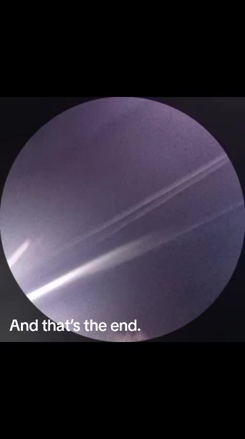 @rOsA🫧🦥