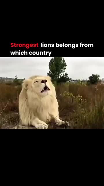 @MPANSO