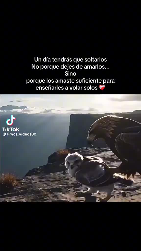 @Carmen Perez