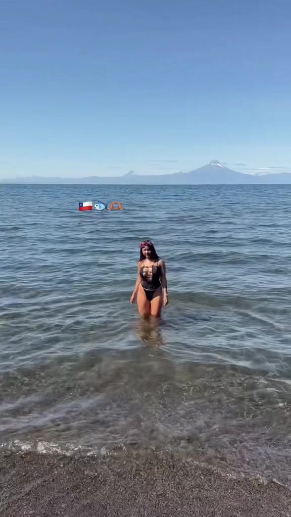 @🐻
