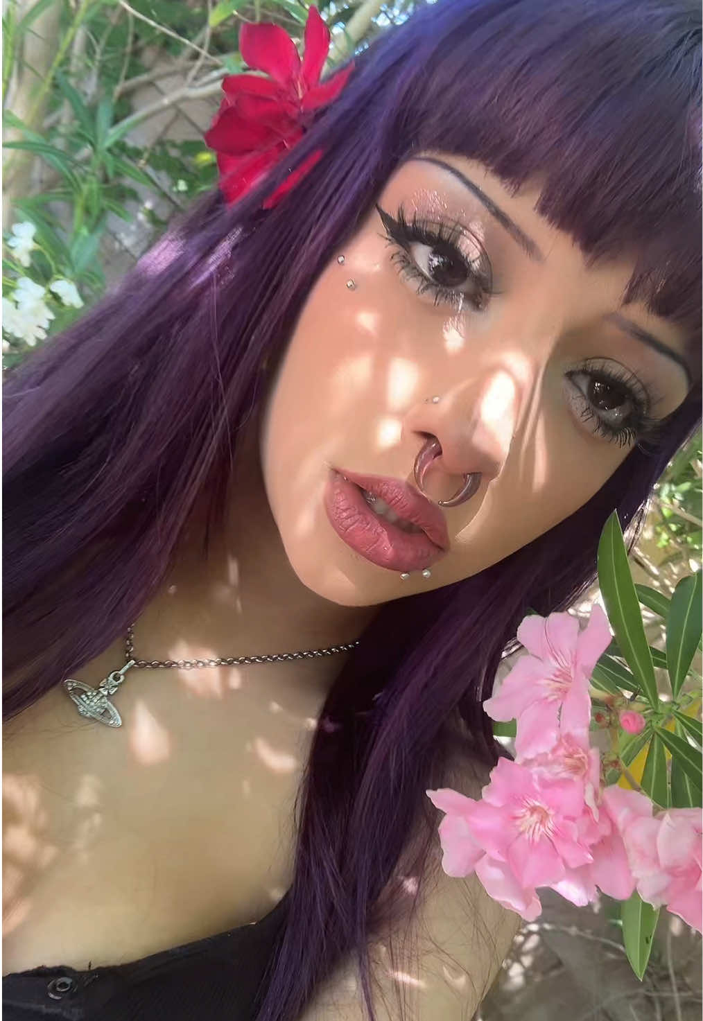 @️mimi