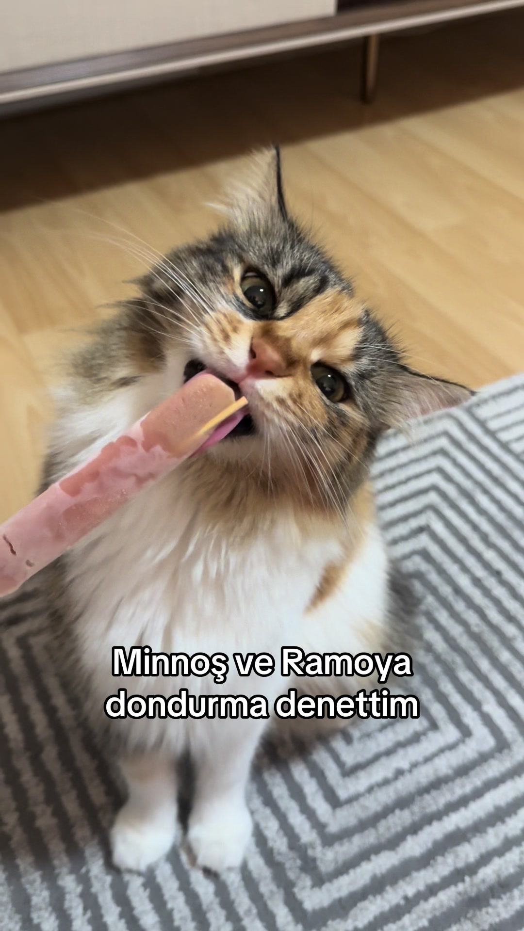 @konusankediminnos