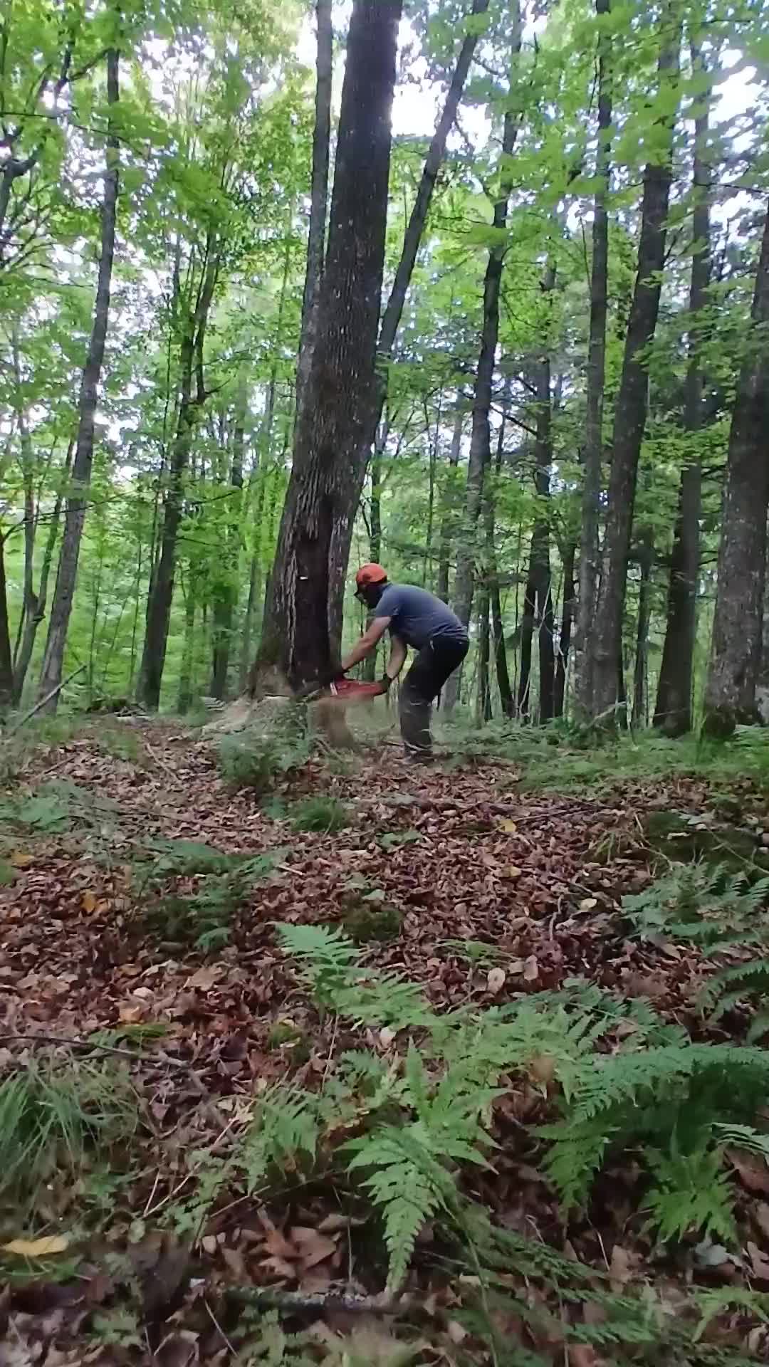 @JoeyLogger