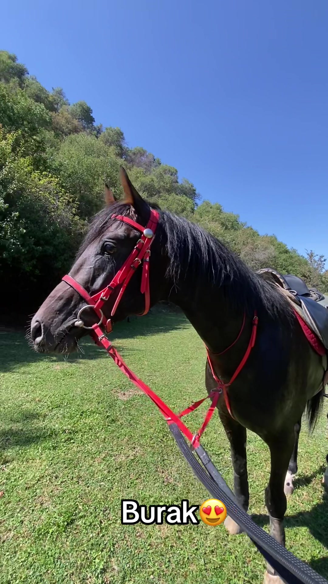 @jockey.hors