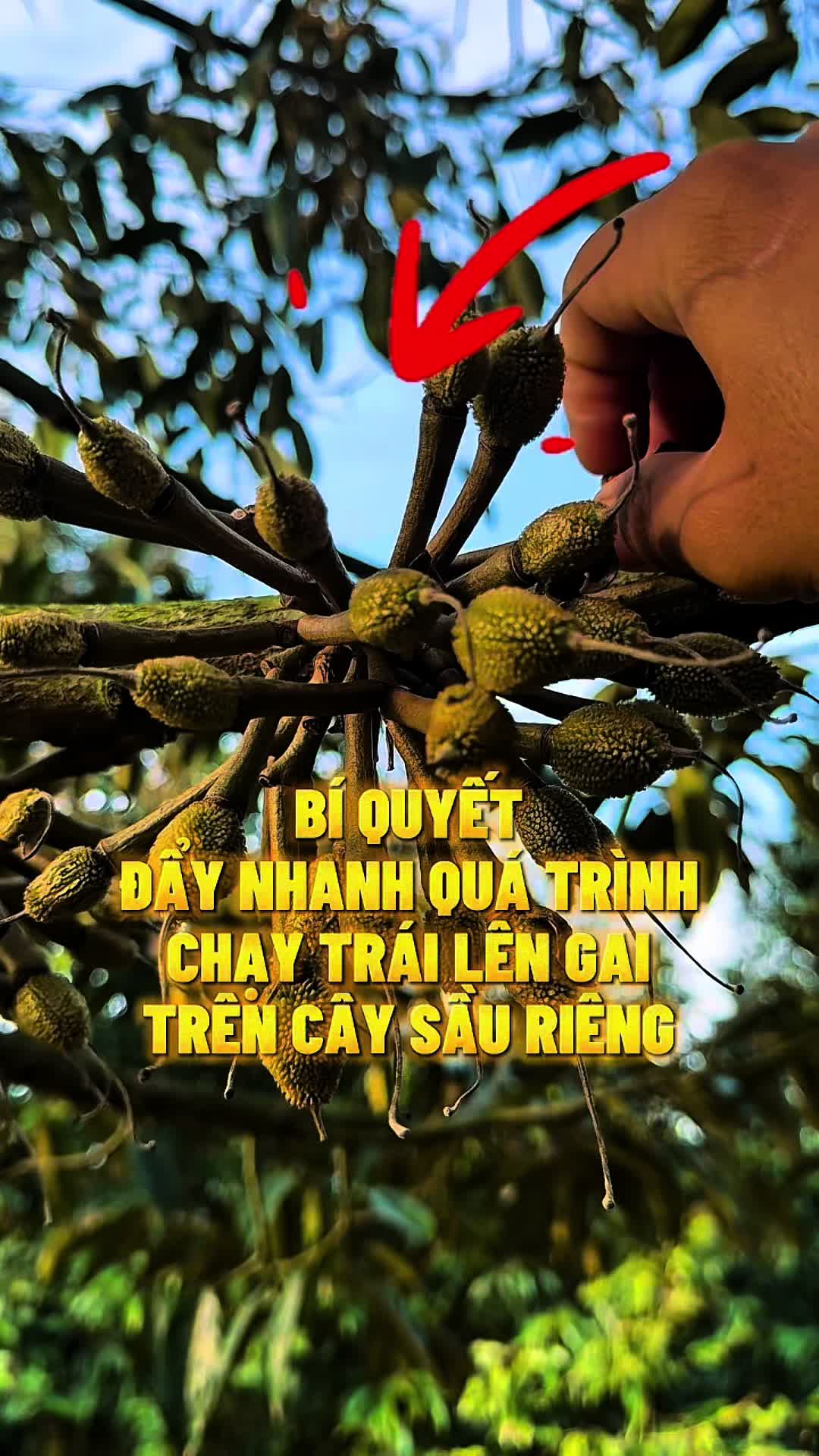 @Hộ Kinh Doanh Hào - Hưng