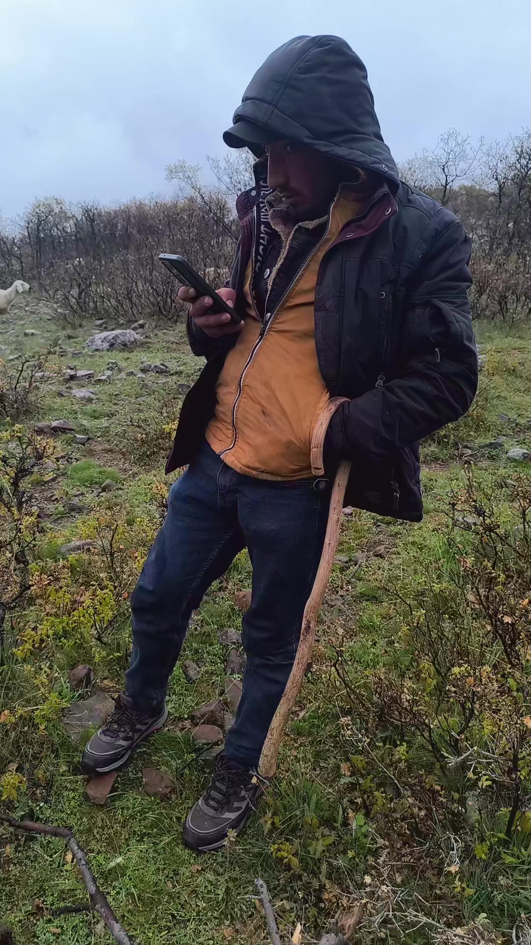@Hakan demir ⁵&sup1; NİĞdeli ⁵&sup1;