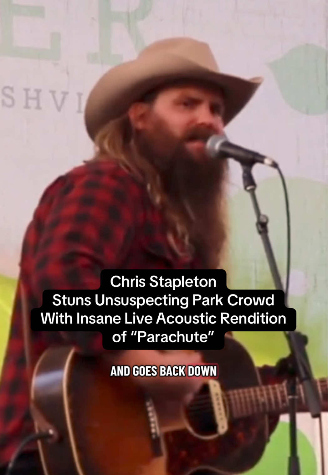 @Stapleton Fan
