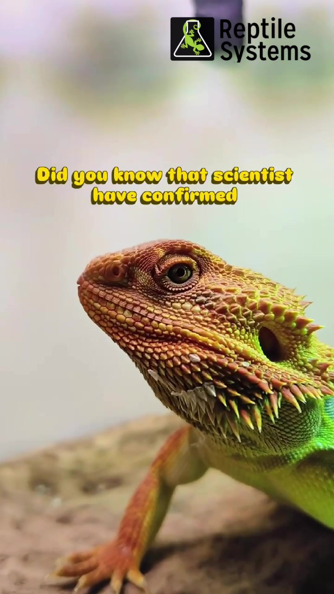 @DrTim