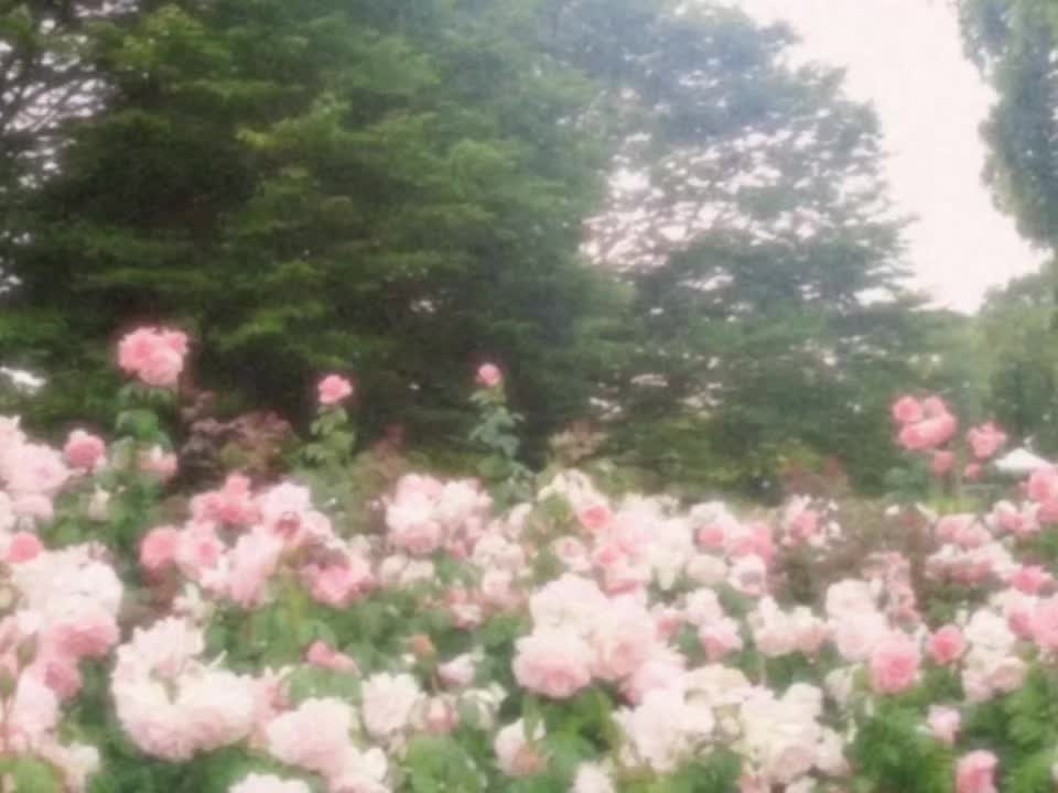 @𝘿𝙄𝙂𝙄𝙏𝘼𝙇𝙄𝙎