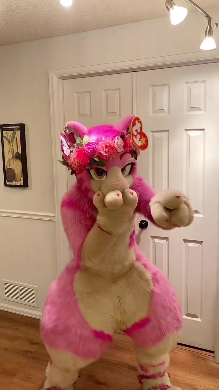 @AGayPinkCat